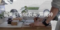 快排公司十年历程，霸屏兔 seo 的崛起与坚守