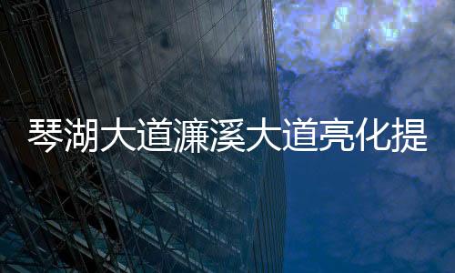 采用了玉兰花及大红灯笼灯型