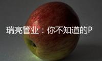 快排公司十年历程，霸屏兔 seo 的崛起与坚守