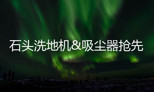 战告姿态控制灵巧掌控