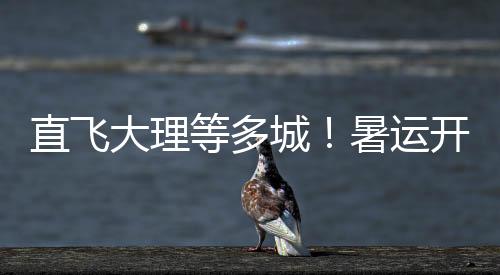 满足旅客差异化需求