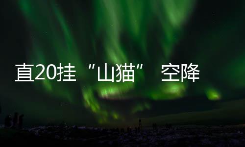 山猫全域全时出动能力
