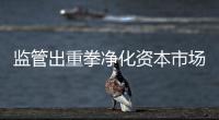 监管出重拳净化资本市场：IPO倒查十年�，对违法违规上“硬措施”