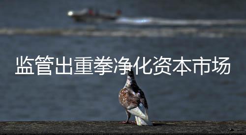 提高行政刑事衔接效率