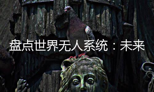 完成自主飞行和战斗