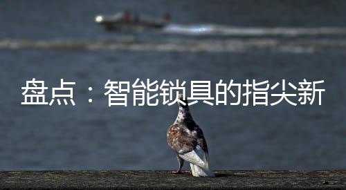 盘点品让主打平安性和便捷性
