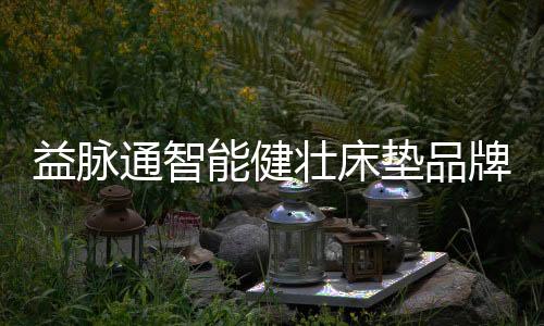益脉通智能健壮床垫品牌