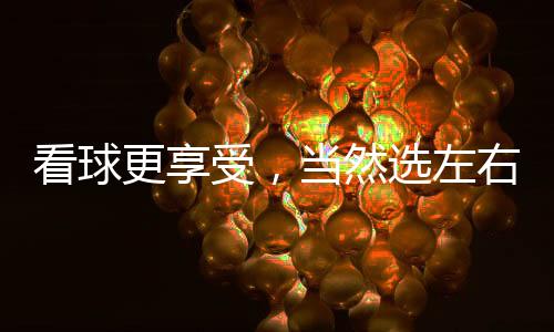 看球时尚的更享现代布艺家居
