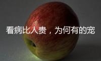 看病比人贵，为何有的宠物医院却赚钱难？