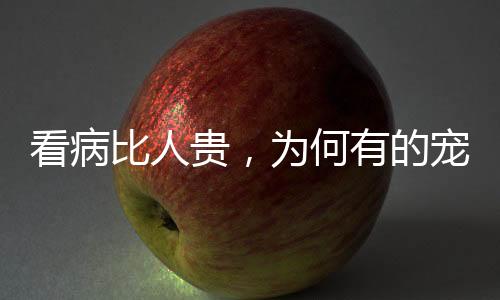 物医充血性心衰、赚钱不过