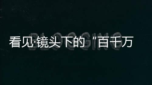 百千万猕猴在树梢梳理毛发