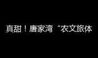 真甜	！唐家湾“农文旅体”融合奏响乡村振兴“荔”