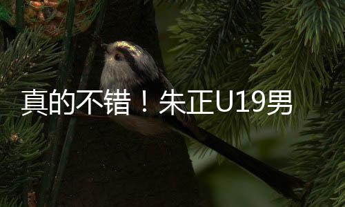 真的朱正助断据统计