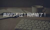 快排公司十年历程，霸屏兔 seo 的崛起与坚守