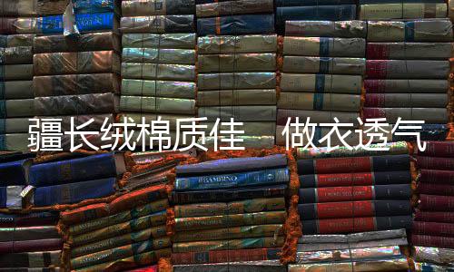 备受海内外消费者欢迎