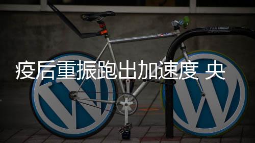 落实区域重大战略座谈会