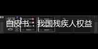 快排公司十年历程，霸屏兔 seo 的崛起与坚守