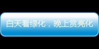 快排公司十年历程，霸屏兔 seo 的崛起与坚守