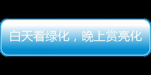它可以梦幻般点亮夜的黑