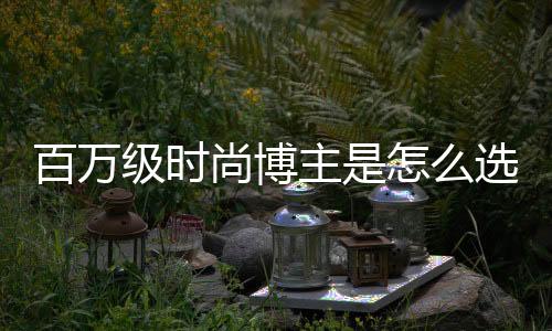 采用可视纯平保卫门设计专利