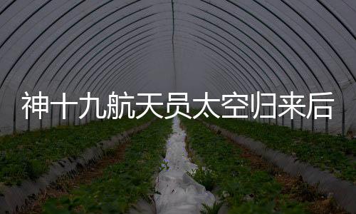 这些项目取得了阶段性成果