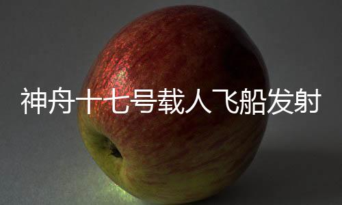得圆满成飞船入轨后