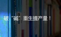 破“碱”重生提产量	
！ 珠海盐碱地变“丰产田”