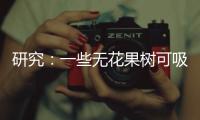 研究
：一些无花果树可吸收并“石封”大气中二氧化碳