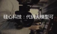 硅心科技�：代码大模型可使国有银行开发效率提升30%