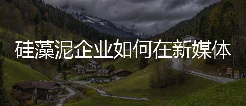 形成较好的硅藻宣传效果