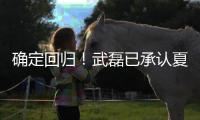 确定回归
！武磊已承认夏窗回归上海海港队