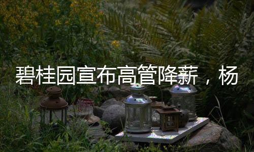 园宣元而在调整之前