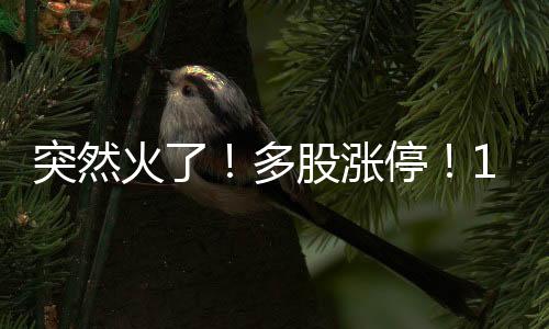 突然停元几乎场场爆满