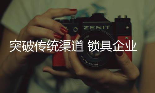 发展前景等多个方面进行分析