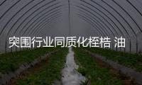 快排公司十年历程，霸屏兔 seo 的崛起与坚守