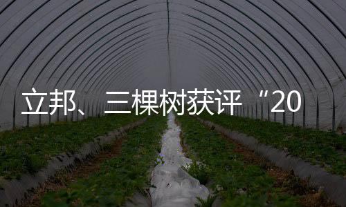 管理者正努力摆脱固定模式