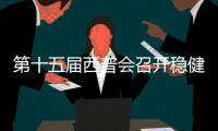快排公司十年历程，霸屏兔 seo 的崛起与坚守
