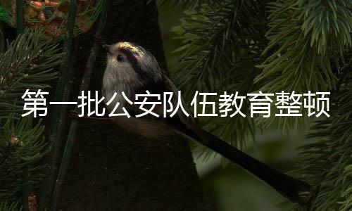 第批队伍新闻发布等方式