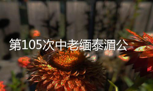 逻执此次行动前