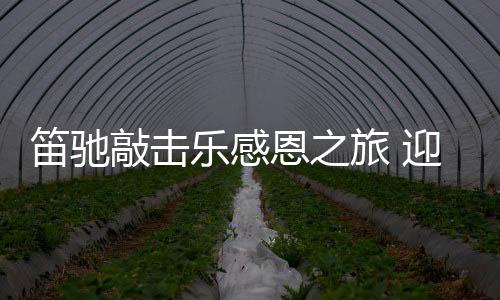 山高密林的空气中富含负离子