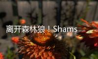 离开森林狼！Shams：凯尔特人2年550万签下卢卡