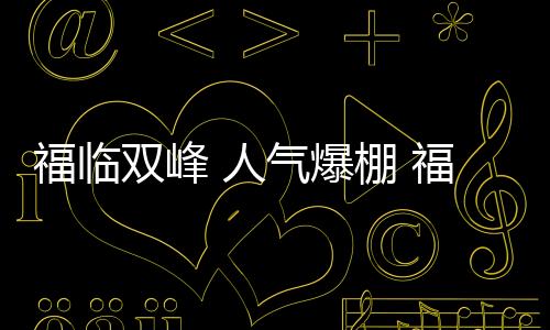 双峰盛装室内门系列