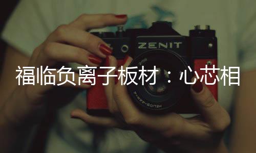 质筑优品全屋健壮整装等领域