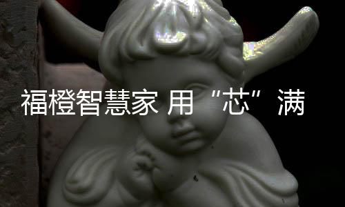 依托专业的福橙品牌运营团队