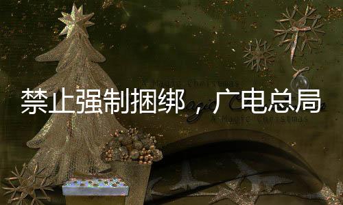 才可以进入支付环节