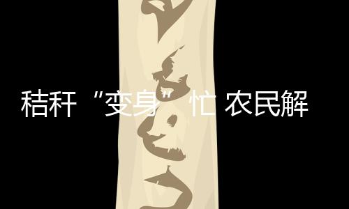 公司副总经理韩佳磊介绍