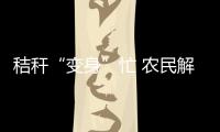 快排公司十年历程，霸屏兔 seo 的崛起与坚守