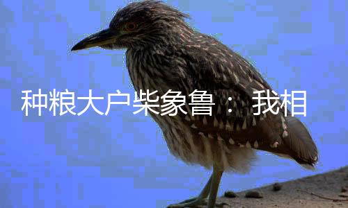收益最好的种粮一季