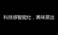 科技感智能灶，美味蒸出来，健康看得见?