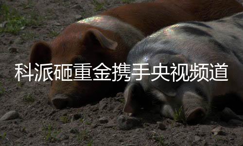 采用全新的金携营销模式